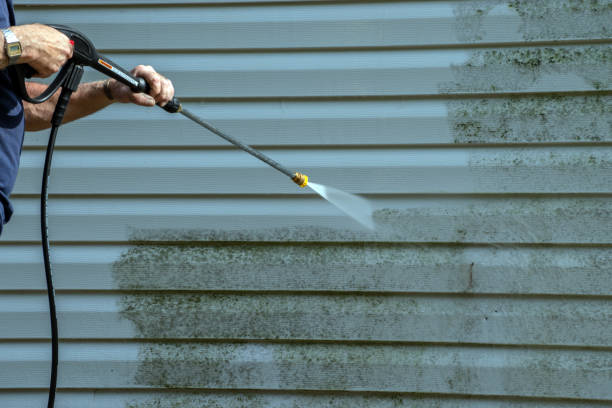 Best Dumpster Area Cleaning  in Hamlet, IN